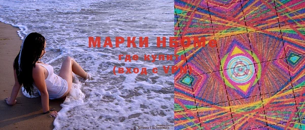 стаф Алексин