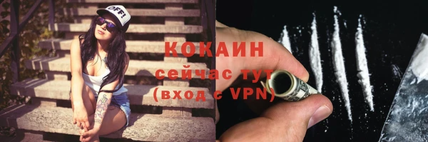 прущие грибы Абдулино
