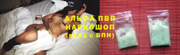 стаф Алексин