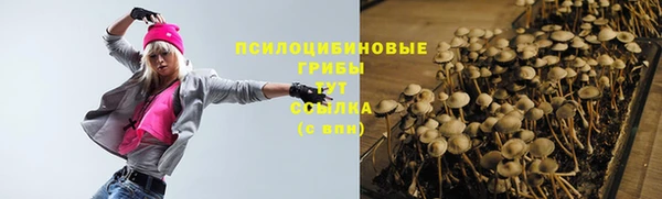 стаф Алексин