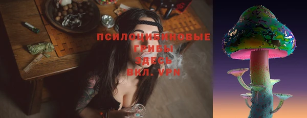 стаф Алексин