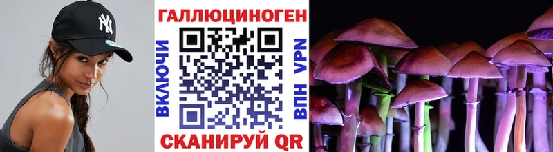 Галлюциногенные грибы Magic Shrooms  Устюжна 